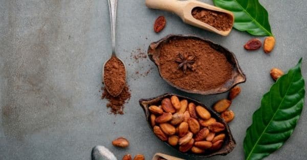 Cómo se procesa el cacao