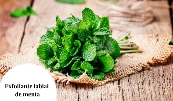 Exfoliante labial de menta